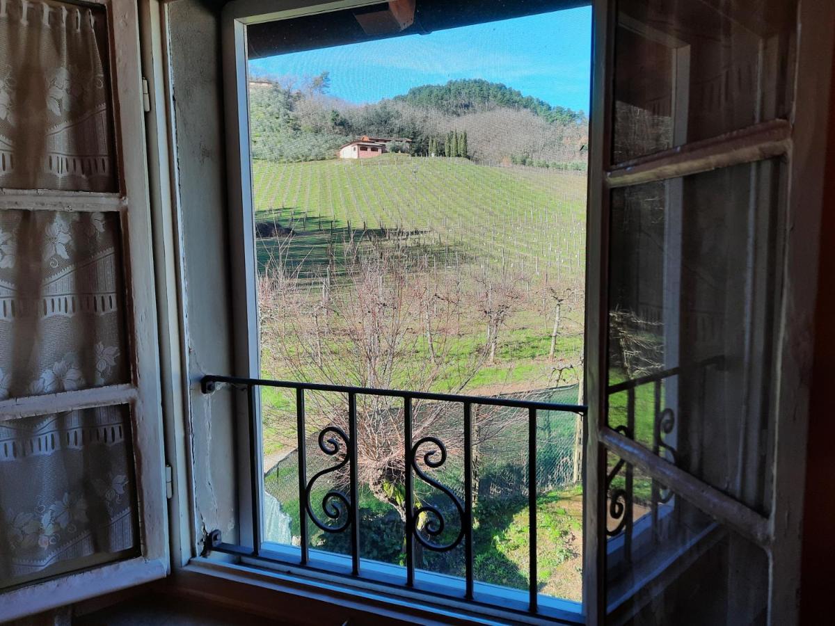 Agriturismo Tenuta Adamo Лукка Экстерьер фото