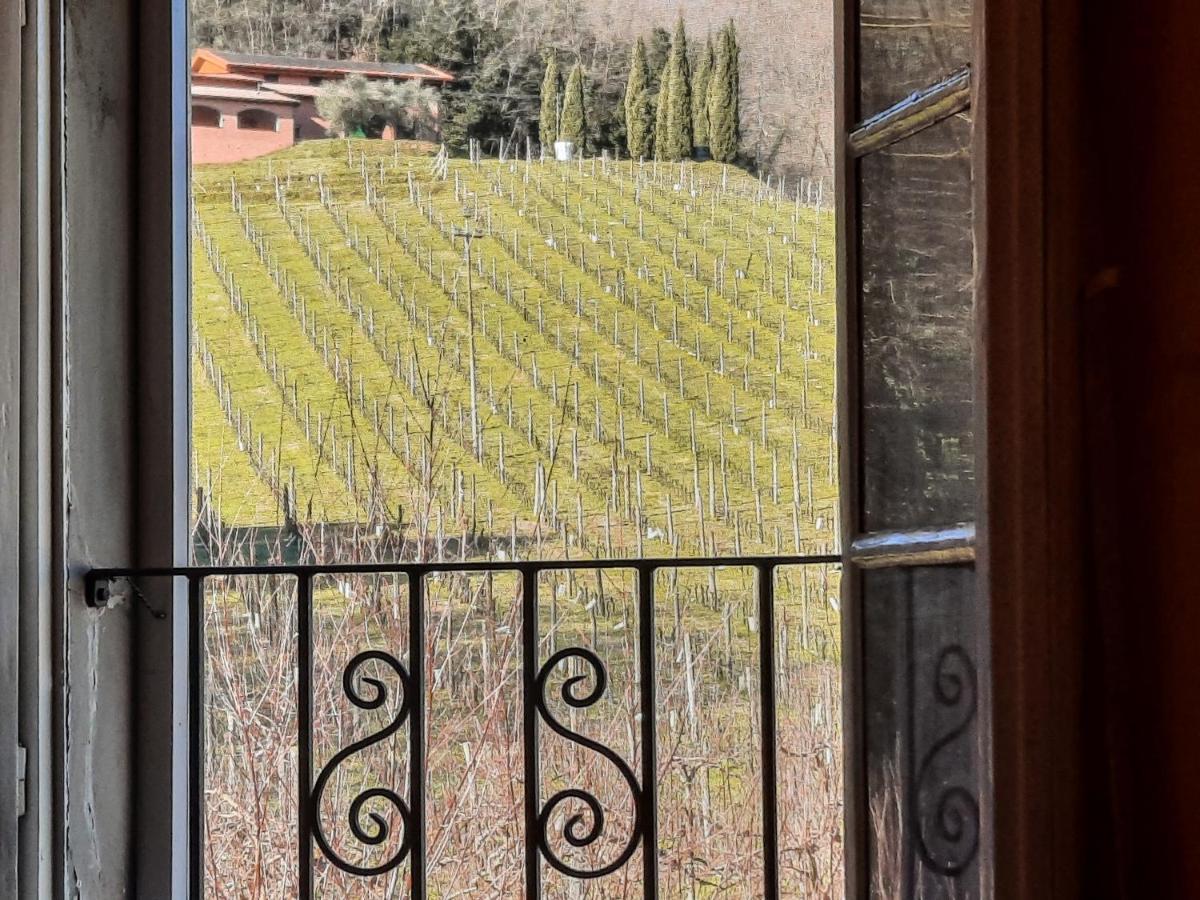 Agriturismo Tenuta Adamo Лукка Экстерьер фото